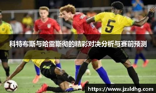 熊猫体育平台